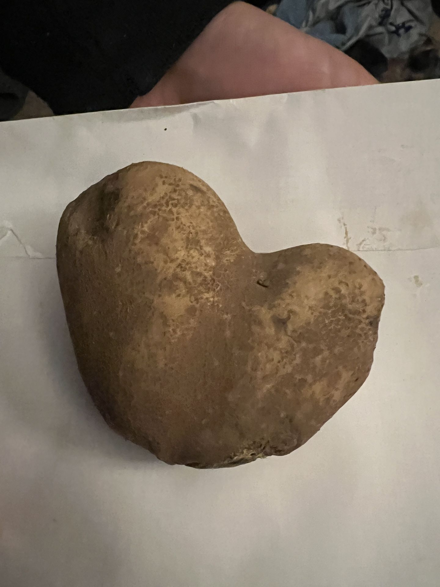 Hearth Shaped Potato
