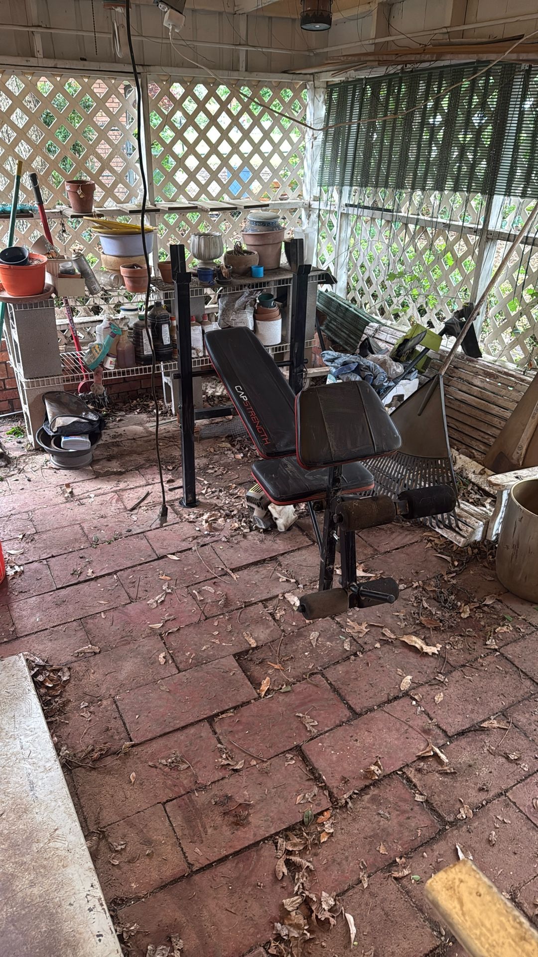 Bench Press