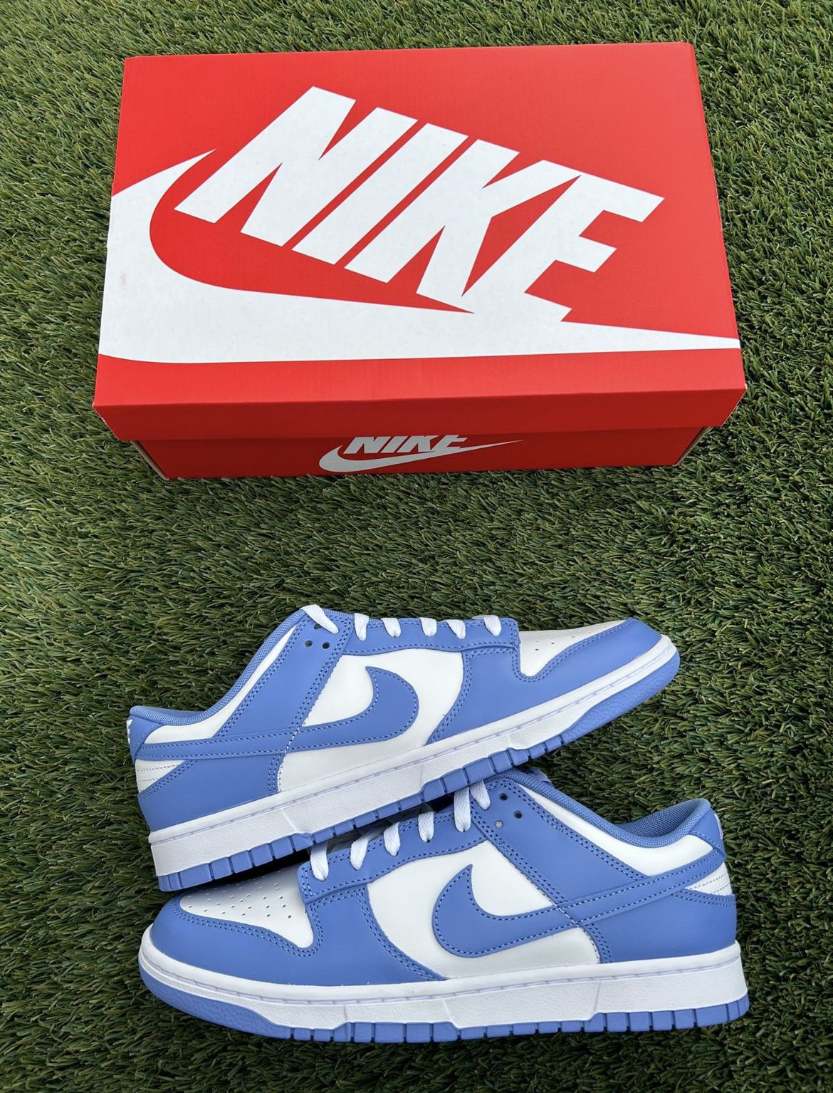 Nike Dunk Low (Polar Blue)