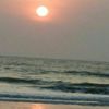 Sneha
