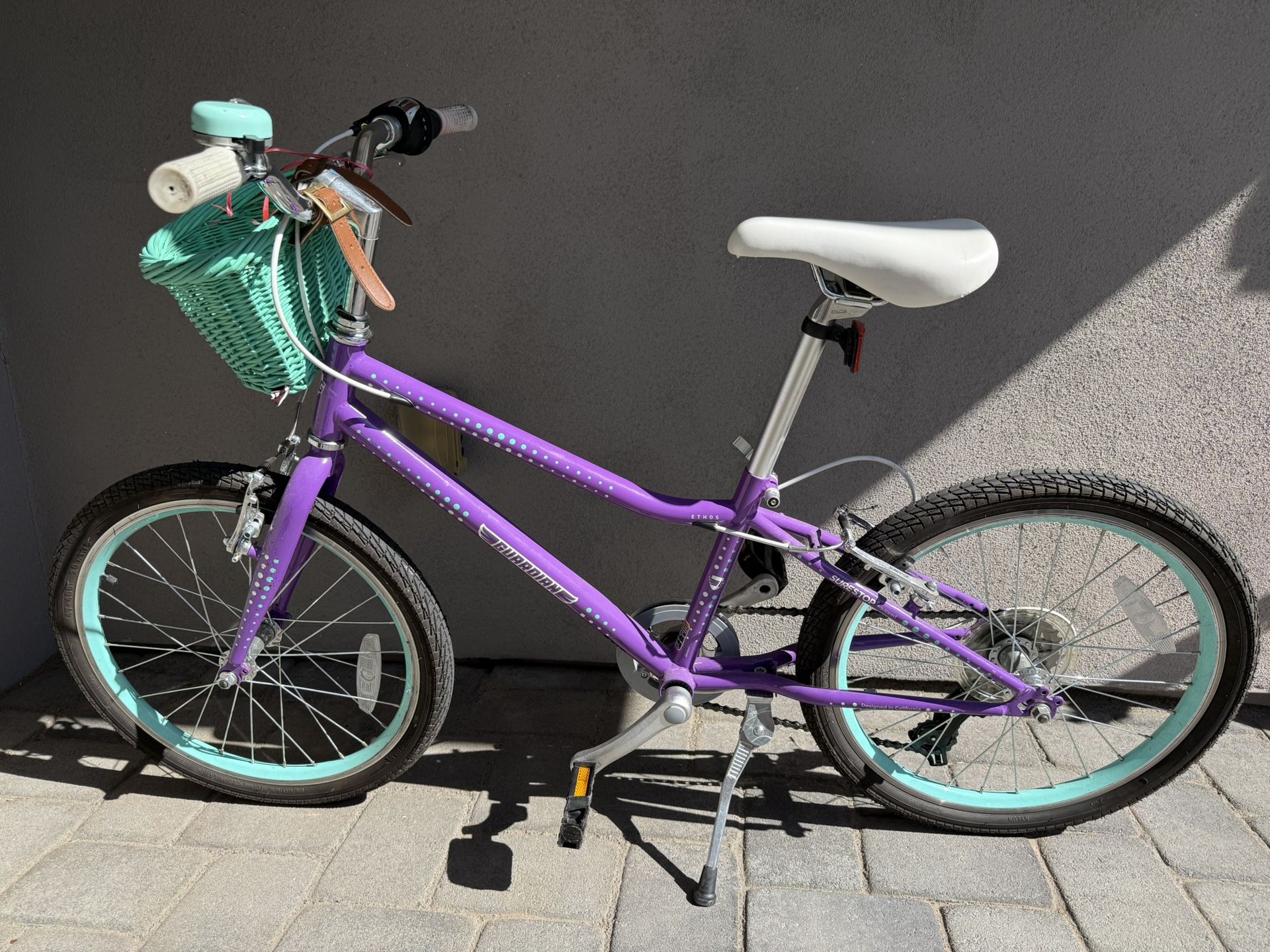 Guardian 20inch Kids Bike