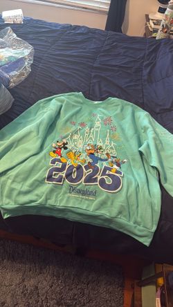 Disneyland sweater