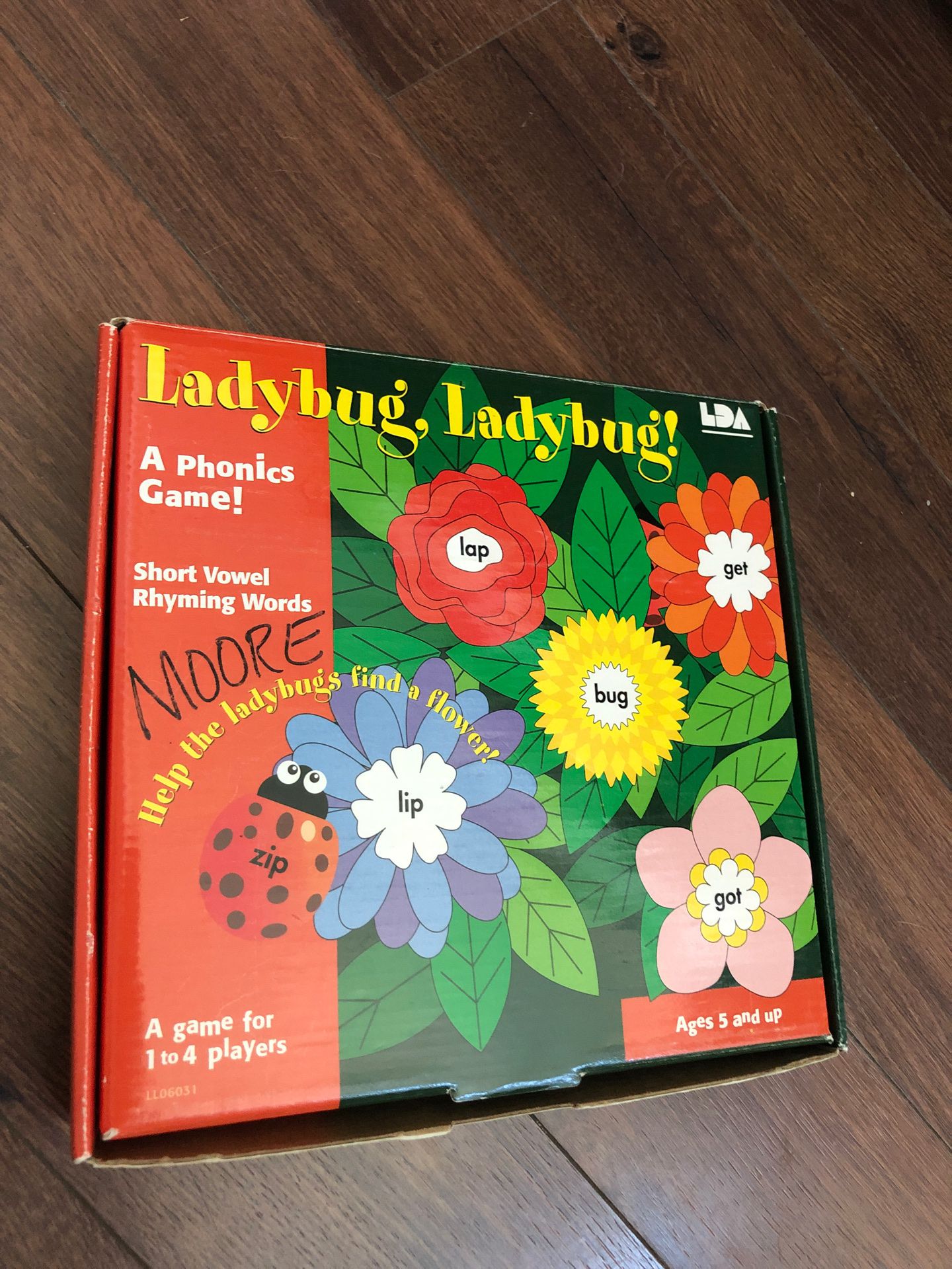 Ladybug, ladybug phonics game - ages 5+ - teach reading - homeschool -
