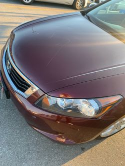 2010 Honda Accord