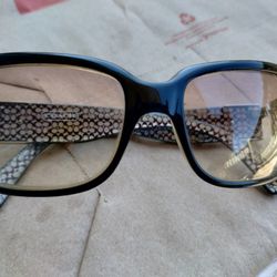 Coach Sunglasses 