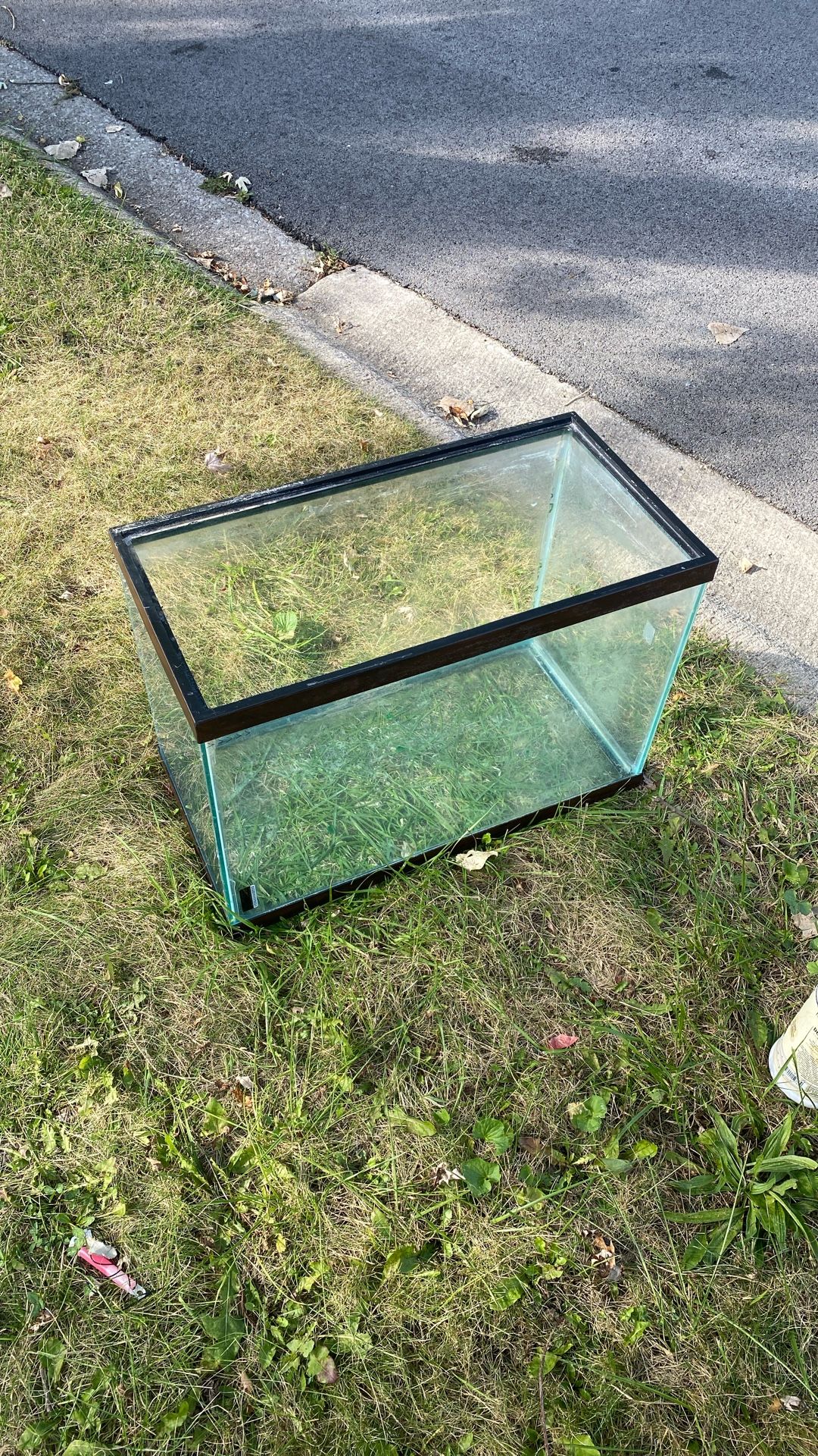 Fish Tank 