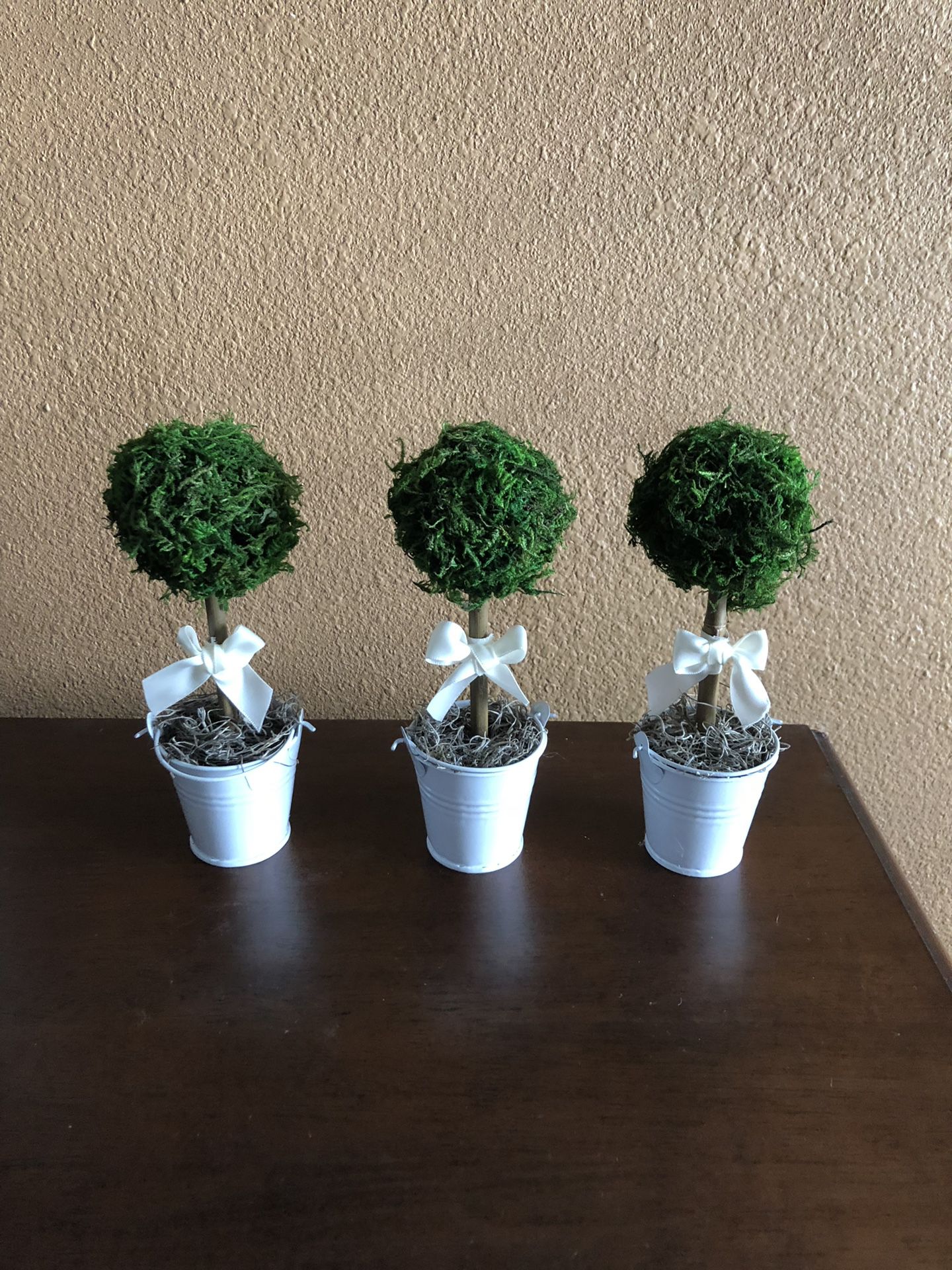 Set of 3 mini moss topiary