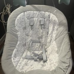 Graco Baby Swing 