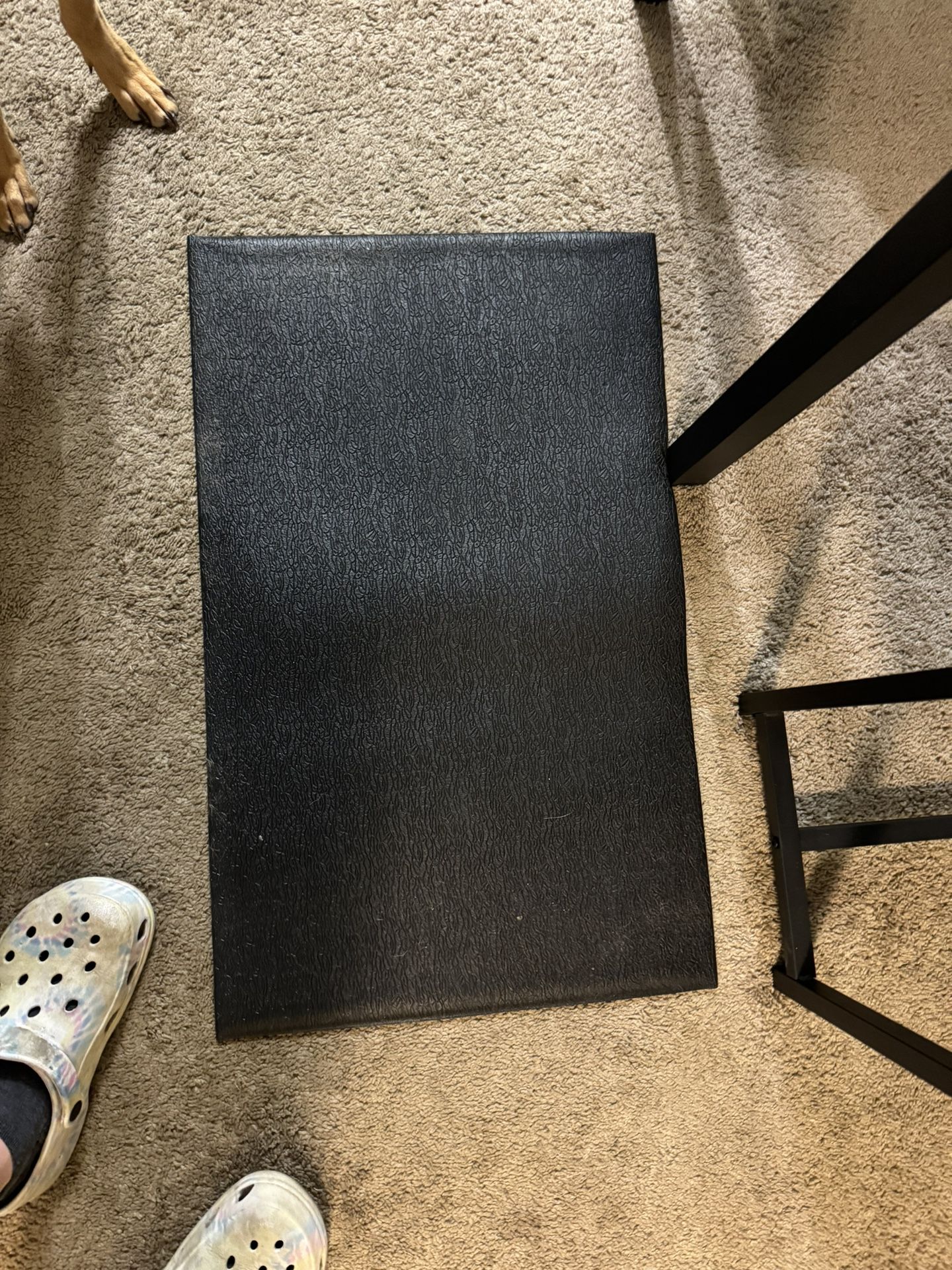 Small Dog Cage