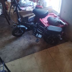 Electric Bike