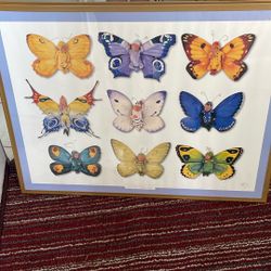 Used Picture Frame With Butterflies And Babies