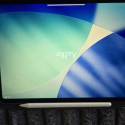 Ipad Pro 11in (A2301) 128GB w/case stylus