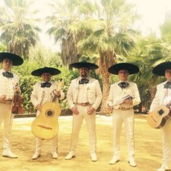 Guitarron Vihuela Mariachi