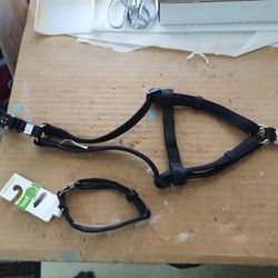Collar & Harness Set