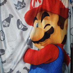 Mario Accessories 