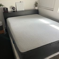 Queen Casper Mattress + Frame & Box Spring