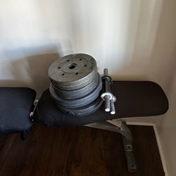 Workout Weights 