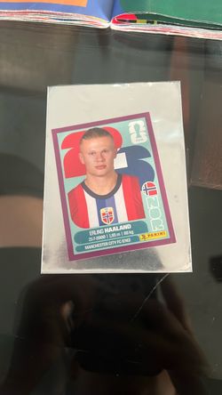 Panini FIFA Erling Haaland Sticker Card purple board