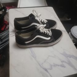 Vans Sk8