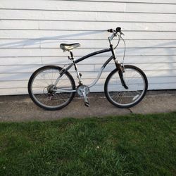 Schwinn Skyliner  Bike 