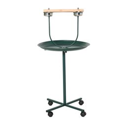 Parrot Stand, Bird 