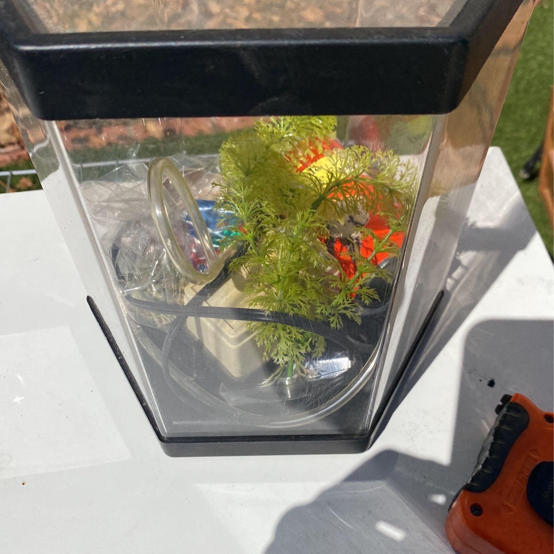 Small Fish Tank