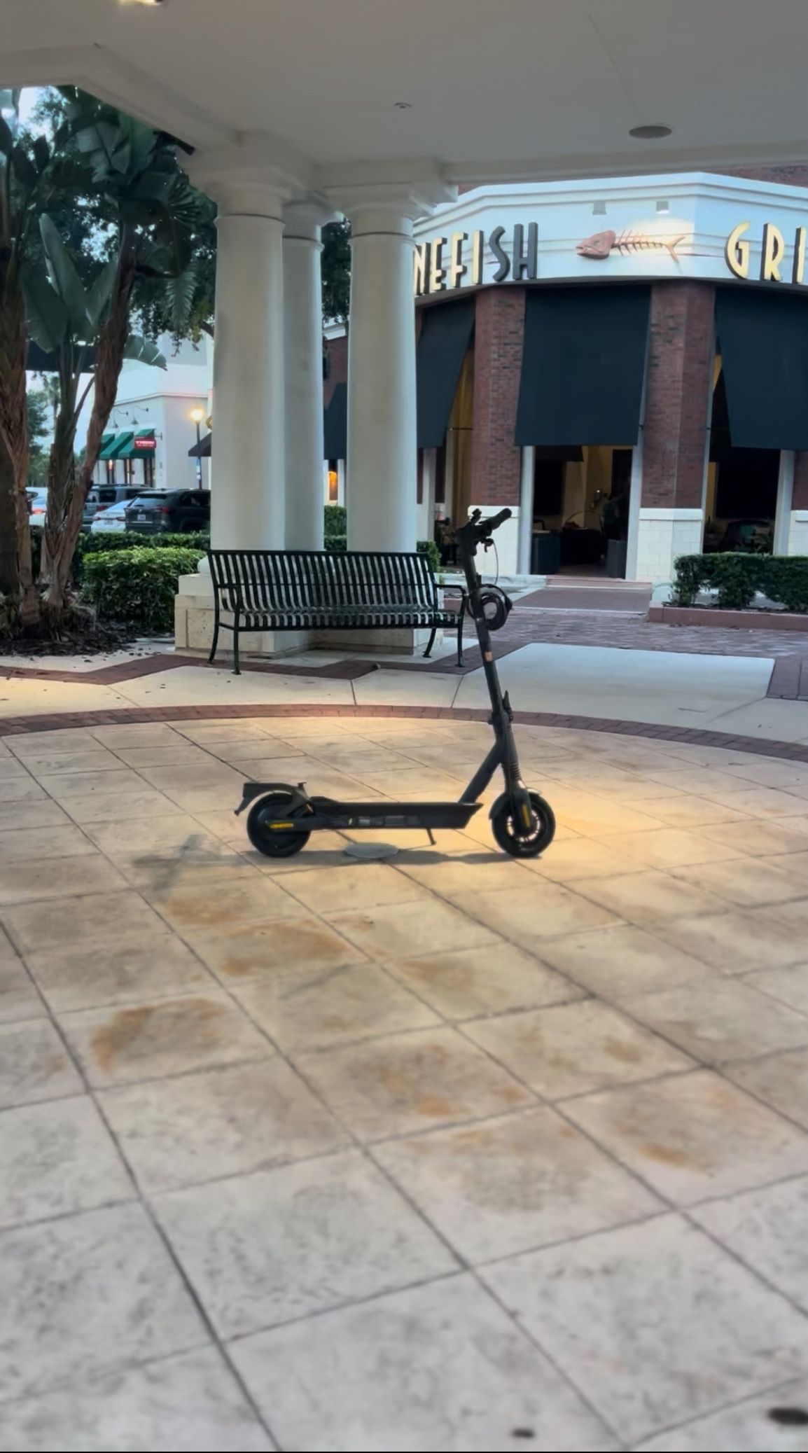 Electric Scooter