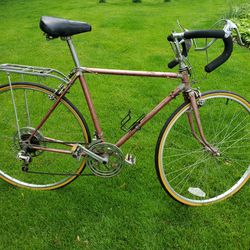 Bicycle, Adult Size