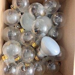 Different Bulbs In A Box