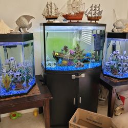 Beautiful Fish Tanks