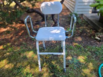 Shower chair with handles