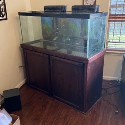 Fish Tank