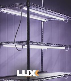 Luxx Clone LED 18w 