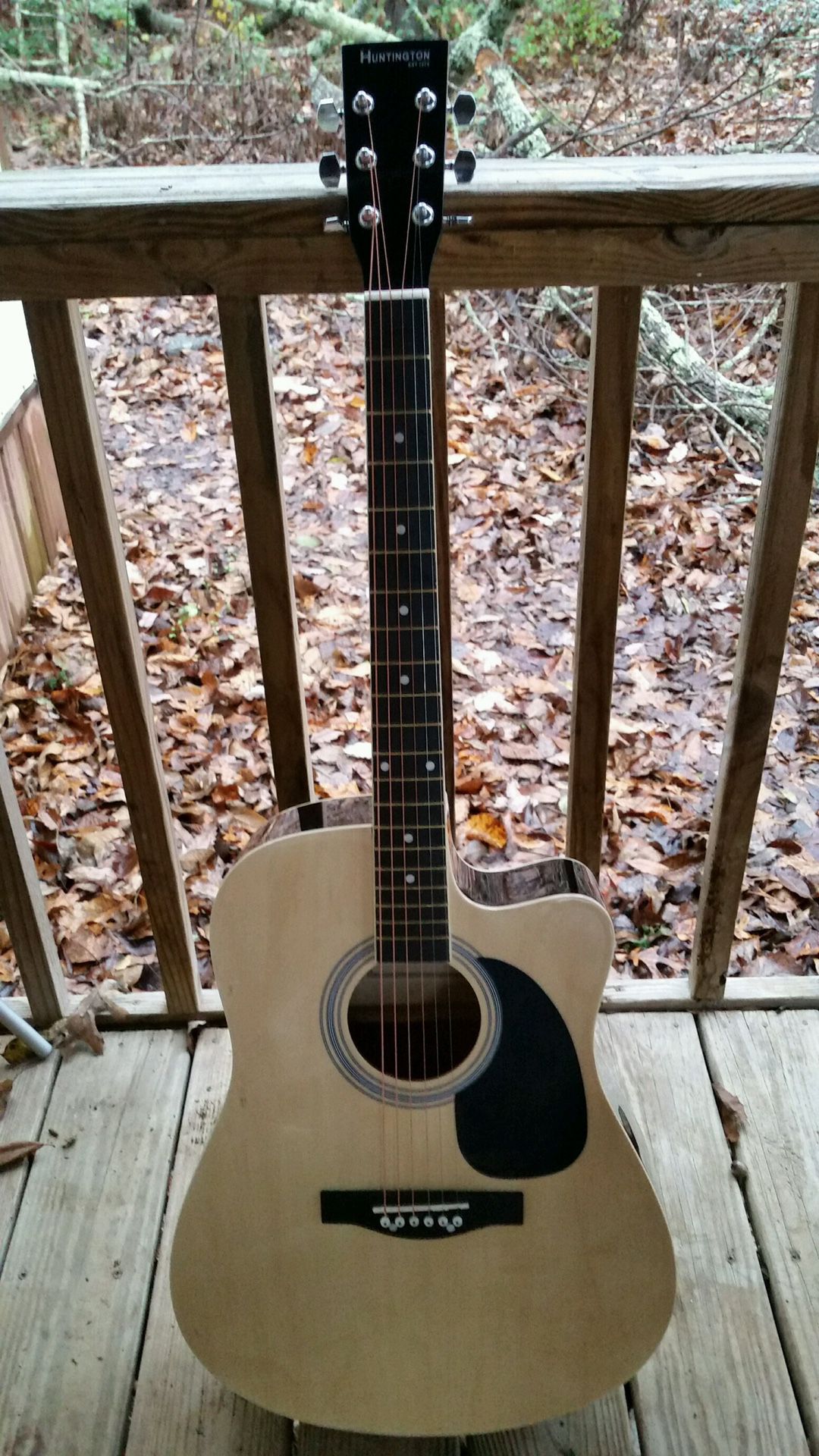 Brand New acoustic electric guitar