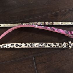 Jeweled Dog Collars And Harnesses