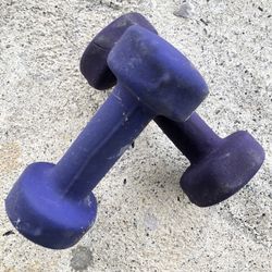 5lb Dumbbells 