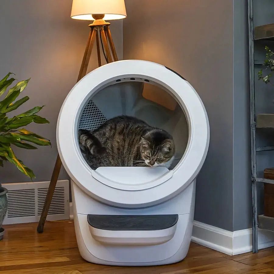 Litter Robot 4 + Mobile App