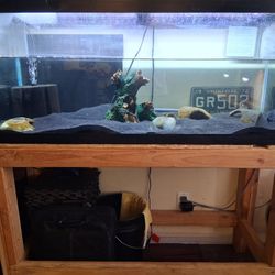 75 Gallon Aqueon Fish Tank