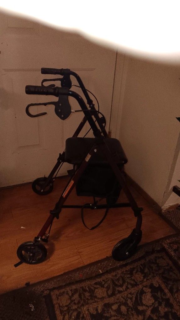 Adult Assistant WALKER