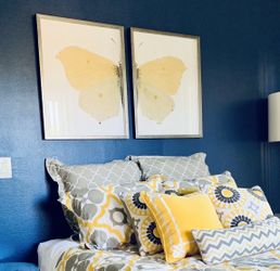 Split Yellow Butterfly Framed  Art
