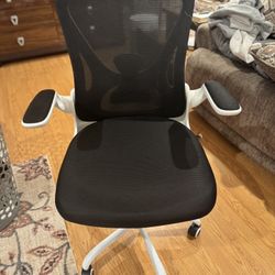 Ergonomic Desk Chair with Padded Flip up Arms