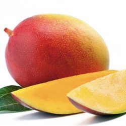 Different Varieties Of Fruit Trees 🌳🥭🥑🍑🍒🍐🍋‍🟩🍈