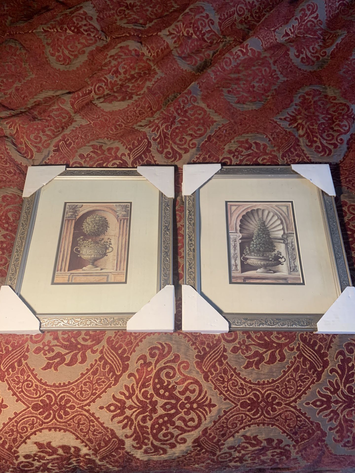 2 New Pictures Of Topiary Trees