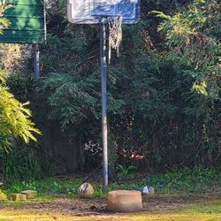 Portable And Adjustable Basketball Hoop.