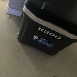Igloo Cooler 