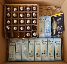 Candelabras LED Bulbs