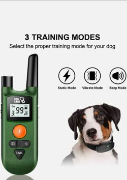 DOG CARE Dog Training Collar with a green remote transmitter