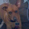 Arnoldo 