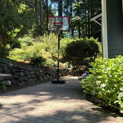 Free Basket Ball Adjustable Back Board