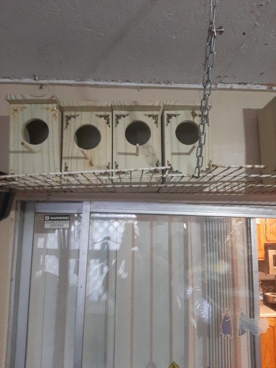 Parakeet Nest
